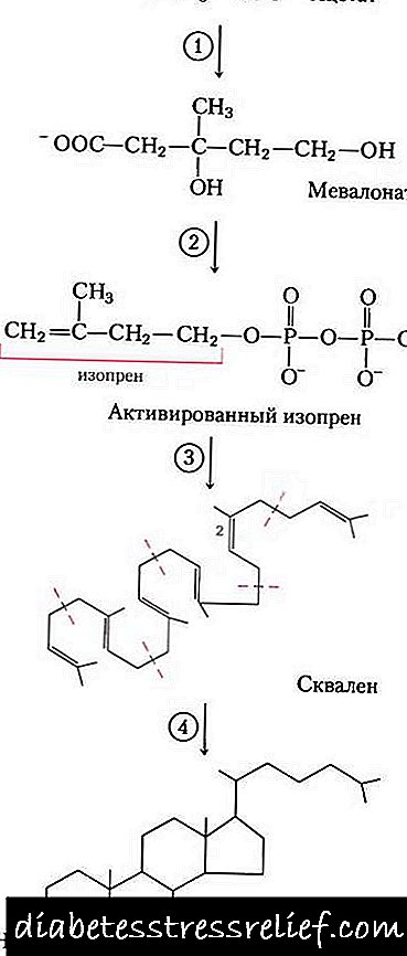 Biosynthesis kolestewòl ak byochimik li yo - Dyabèt