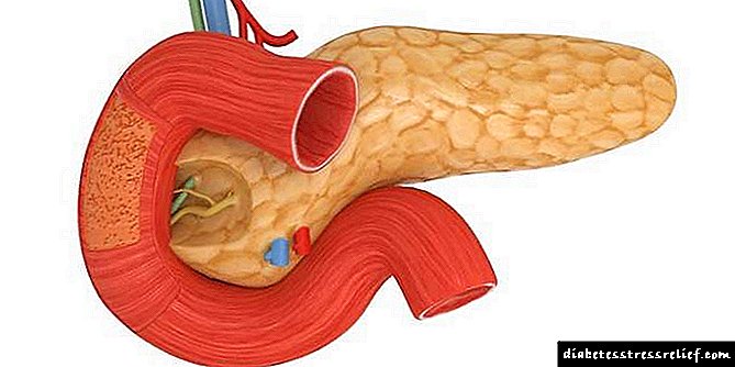 Wat is insulien - watter orgaan produseer 'n hormoon, die meganisme van werking in die liggaam en aanduidings vir inspuiting