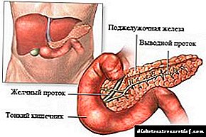Que é o páncreas, onde está situado, como fai dano?