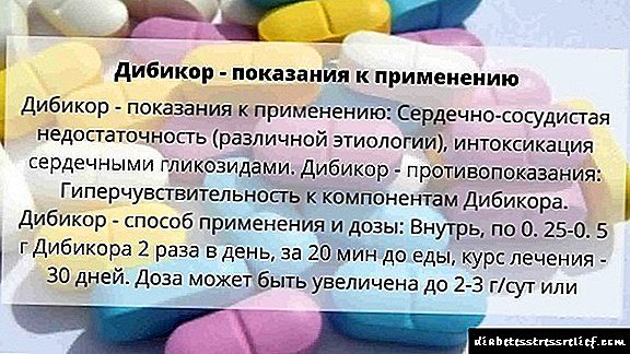 Dibikor, análogos rusos das drogas con prezos e críticas