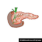 Ang pagbalhin sa heterogenous nga mga pagbag-o sa istruktura sa pancreas: unsa kana?