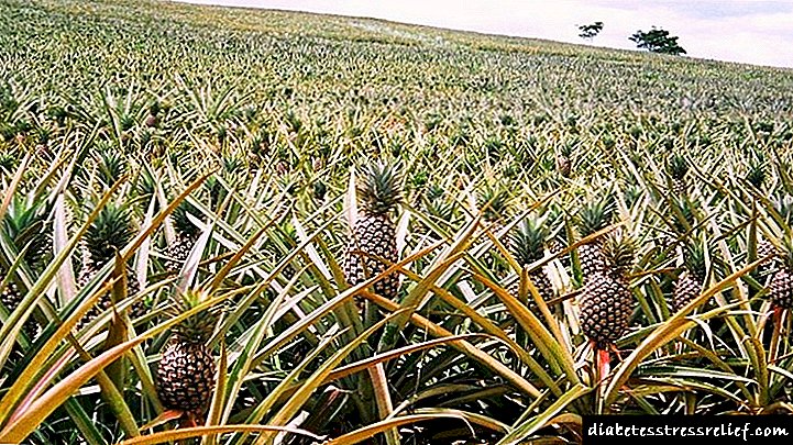 Pineapple hii ya Lishe: Faida za Wagonjwa wa kisukari na Mapendekezo ya Lishe