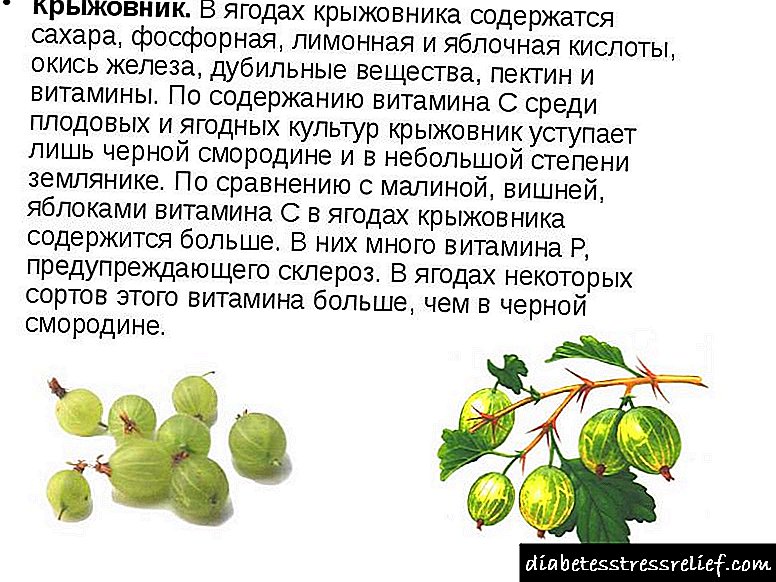 Berries permessi u pprojbiti għad-dijabete