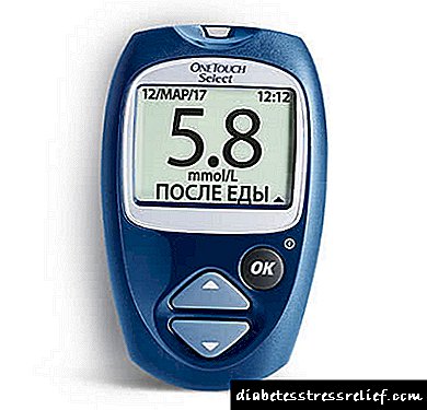 Glucometer Van Touch (One Touch)