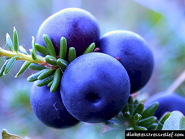 Blueberries nrog ntshav qab zib
