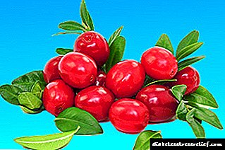 Paano nakakaapekto ang mga cranberry sa presyon ng dugo