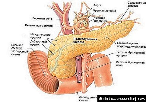 Paano mapapabuti ang pancreas ng tao: mga sintomas ng karamdaman