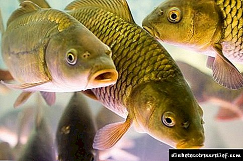 Каква риба може да се јаде со панкреатитис