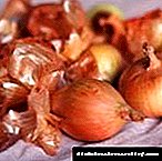 Onions baked: çiqas tendurist û zirarê, çawa çawa bikirin û bikar bînin?