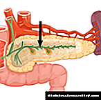 Arteriële bloedtoevoer na die pankreas: kenmerke, skema en struktuur