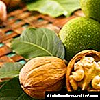 Daun buah walnut sareng pasipatan mangpaat diabetes