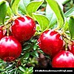Mga cranberry para sa diyabetis: ang mga benepisyo at nakakapinsala para sa mga diabetes, mga recipe