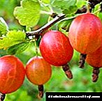 Huwa permess gooseberry għad-dijabetiċi