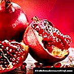 Pancreatitis Pomegranate