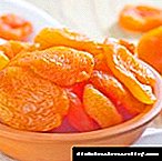 ငါဆီးချိုရောဂါအတွက် apricots ကိုစားနိုင်သလား