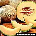 Ass et méiglech Melon an Diabetis ze iessen