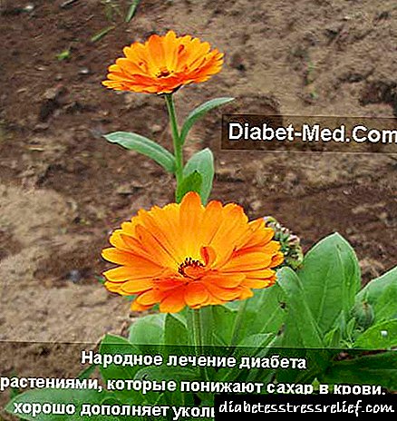 Trattament alternattiv għad-dijabete tat-tip I u II