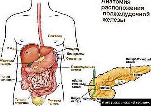 Pankrearen deformazioa: sintomak, tratamendua