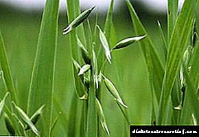 Панкреатит oatmeal вазелин - Изотов, Мамотовын жор