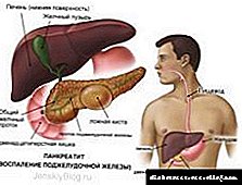 Pancreas: Ang kasaysayan, papel sa lawas
