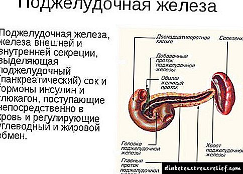 In pancreas morbo, causas, signa et curatio