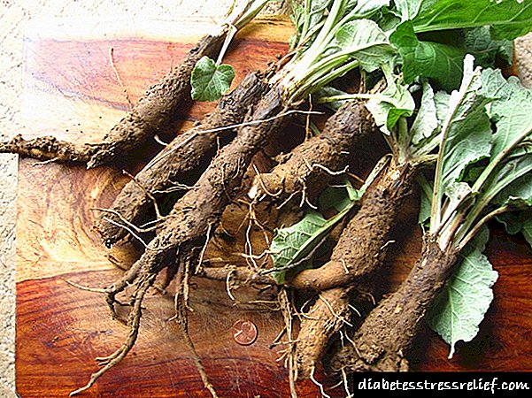 Burdock wortel by tipe 2-diabetes: resepte vir afkook en infusie van 'n plant