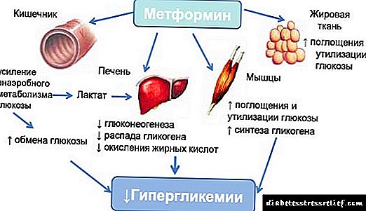 Lijek za mršavljenje i starost - dr. Malysheva o Metforminu