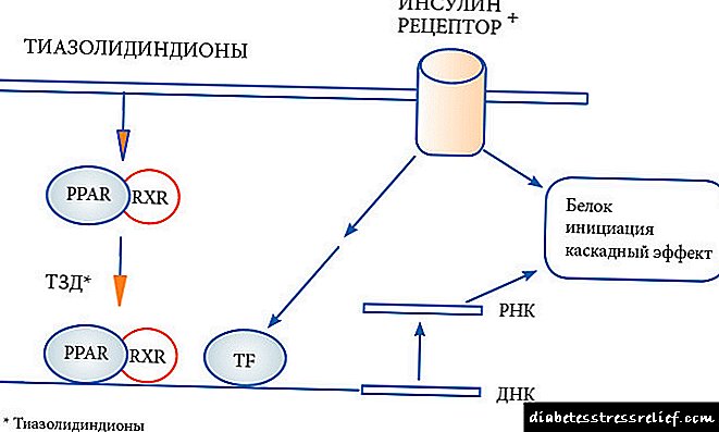 Thiazolidinedione պատրաստուկներ - բնութագրերը և կիրառման առանձնահատկությունները