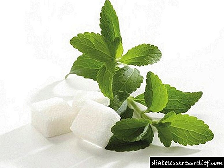 Stevia ургамлын гаралтай хэрэглээ