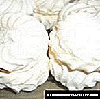 Mga sweet meringues para sa mga diabetes
