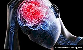 Ginos-tablette - 'n ernstige natuurlike middel vir die brein en sentrale senuweestelsel