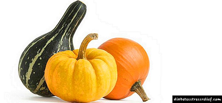 Pumpkin le haghaidh diaibéiteas de chineál 2: sochair agus contraindications