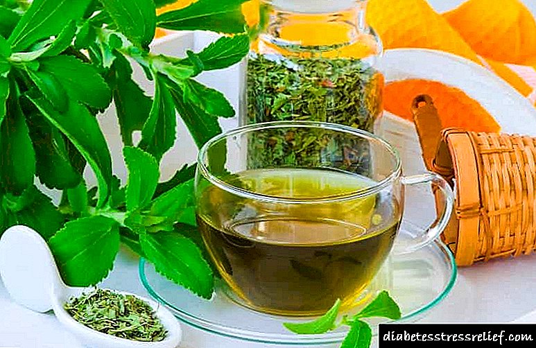 Stevia gawe piala lan mupangat kanggo menehi herbs, instruksi