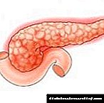 Exsecretory kaj intrasecretory pankreataj funkcioj